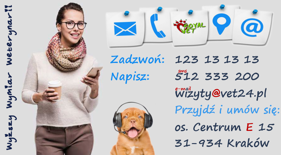 Zapraszamy do kontaktu z najlepszym weterynarzem w krakowie weterynarz Kraków kontakt